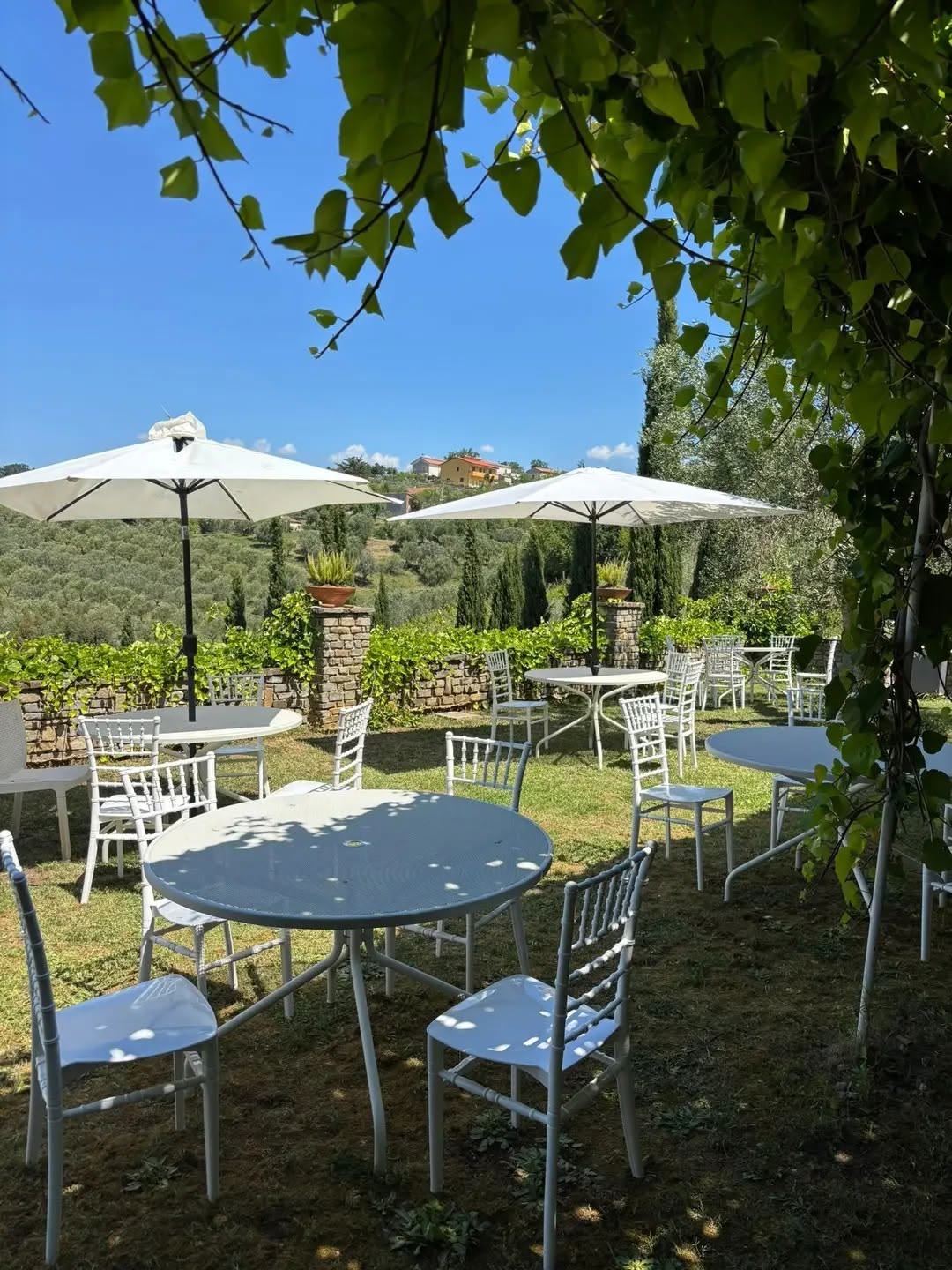 Tavoli rotondi apparecchiati in giardino sotto gli ombrelloni, tra gli uliveti